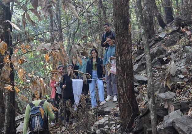 May be an image of 5 people, people climbing and tree